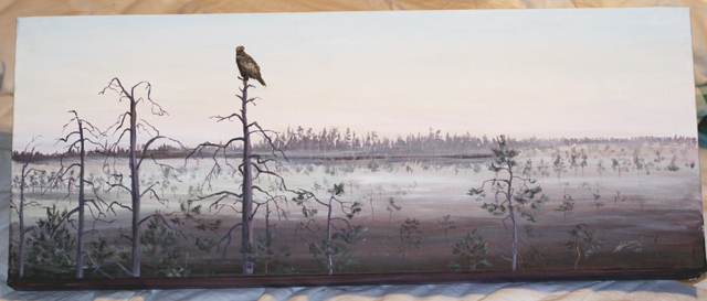 Maakotka Golden Eagle Aquila crysaeotos