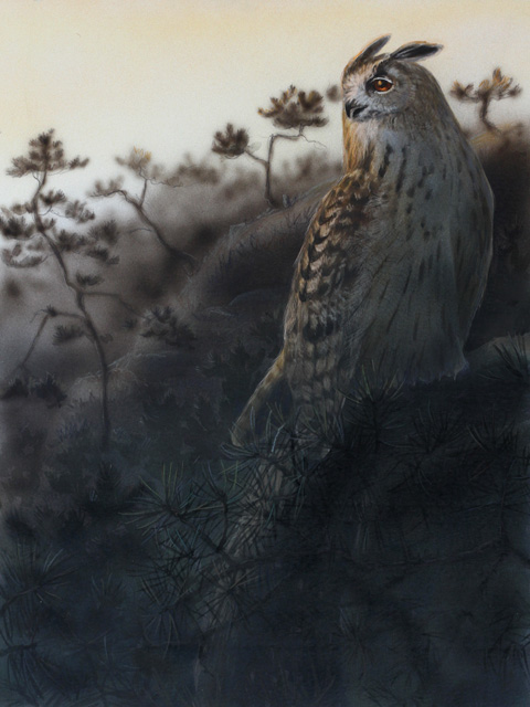 Huuhkaja Eagle owl bubo bubo